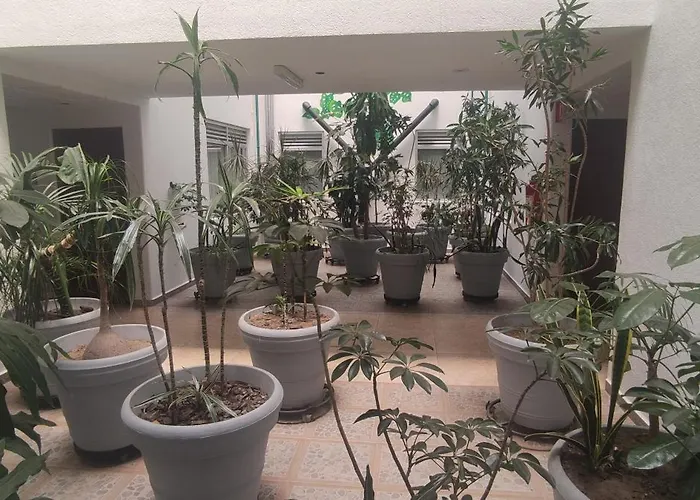 哈瓦那酒店 2* 墨西哥城