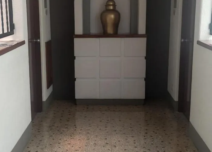 Habana México DF